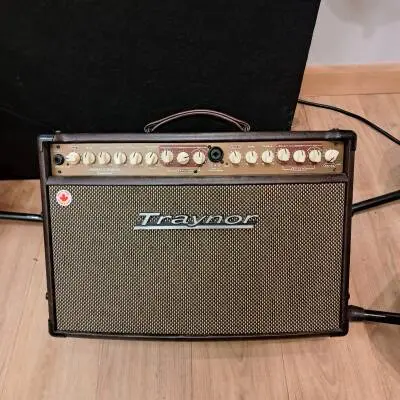 Traynor ACOUSTIC MASTER STANDARD